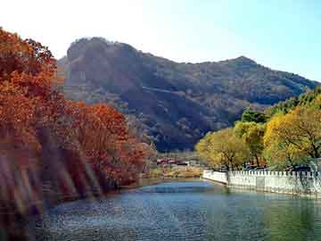 澳门天天免费精准大全，山东龙口海景房骗局